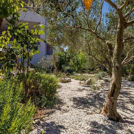 Rosemary 아파트 Ražanj