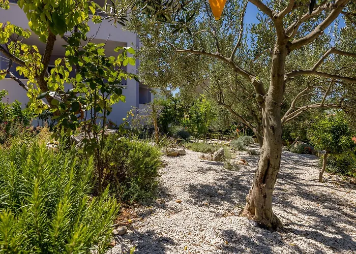 Rosemary Daire Ražanj